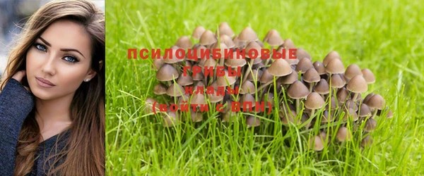 прущая мука Белокуриха
