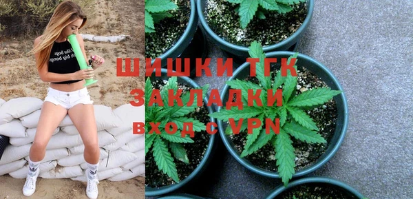 дмт Богородицк