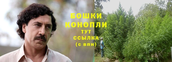 мдпв Богородск