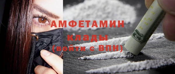 мдпв Богородск