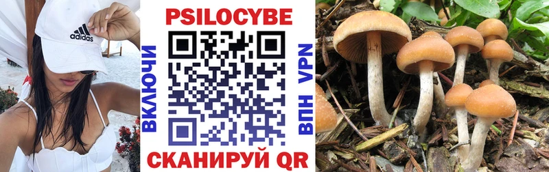 купить   Валуйки  Псилоцибиновые грибы ЛСД 